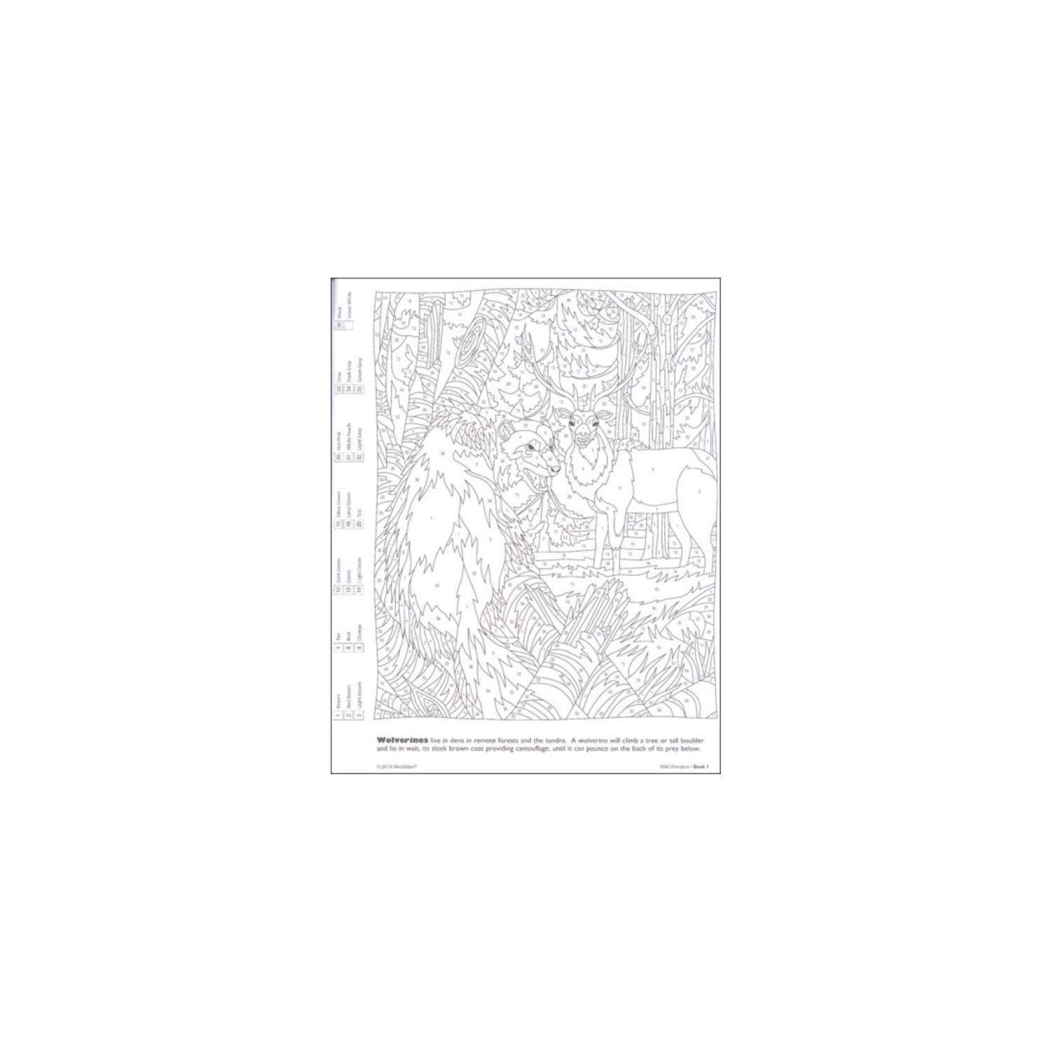 image-5
