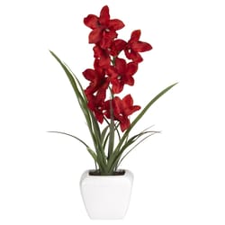 DW Silks 21 in. H X 14 in. W X 14 in. D Polyethylene Red Cymbidium Orchids Faux Plant White