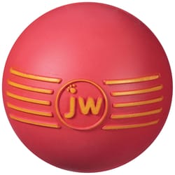 JW Pet iSqueak For Dog Assorted Rubber Ball Dog Toy Medium