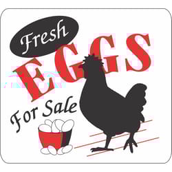 Signs Up English White Informational Sign 11.5 in. H X 12.75 in. W