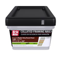 Grip-Rite 3 in. L X 11 Ga. Angled Strip Hot-Dip Galvanized Framing Nails 21 deg 1000 pk
