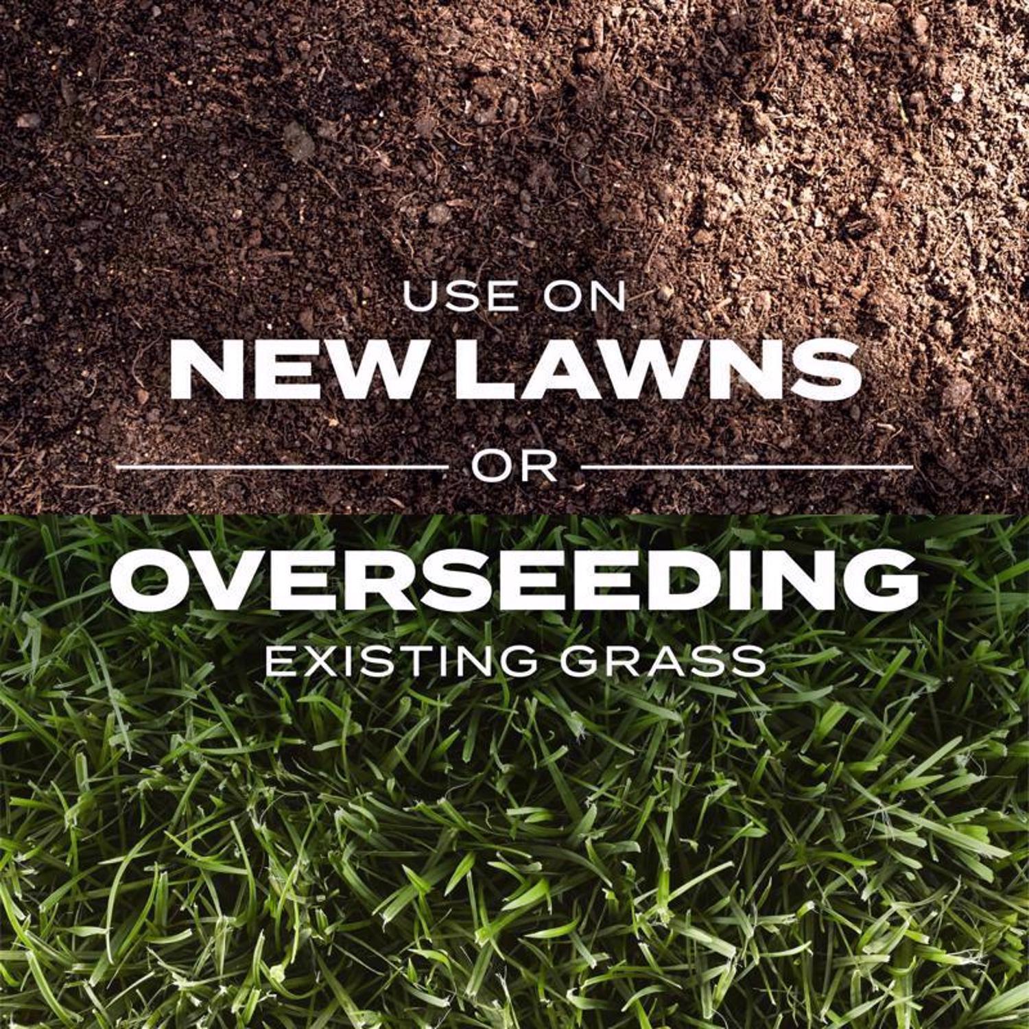 Scotts Turf Builder Rapid Grass Mixed Sun or Shade Grass Seed and