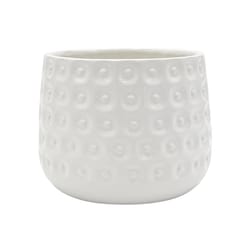 Classic Gardens HC companies 5.9 in. H X 8.25 in. W X 8.25 in. D X 8.25 in. D Ceramic Round Planter