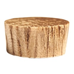Century Drill & Tool Flat Oak Head Plug 1/2 in. D X 1/2 in. L 24 pk Brown
