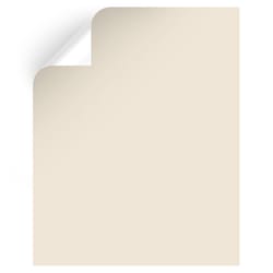 Magnolia Home by Joanna Gaines Carter Cr Peel & Stick Color Sample MAG015