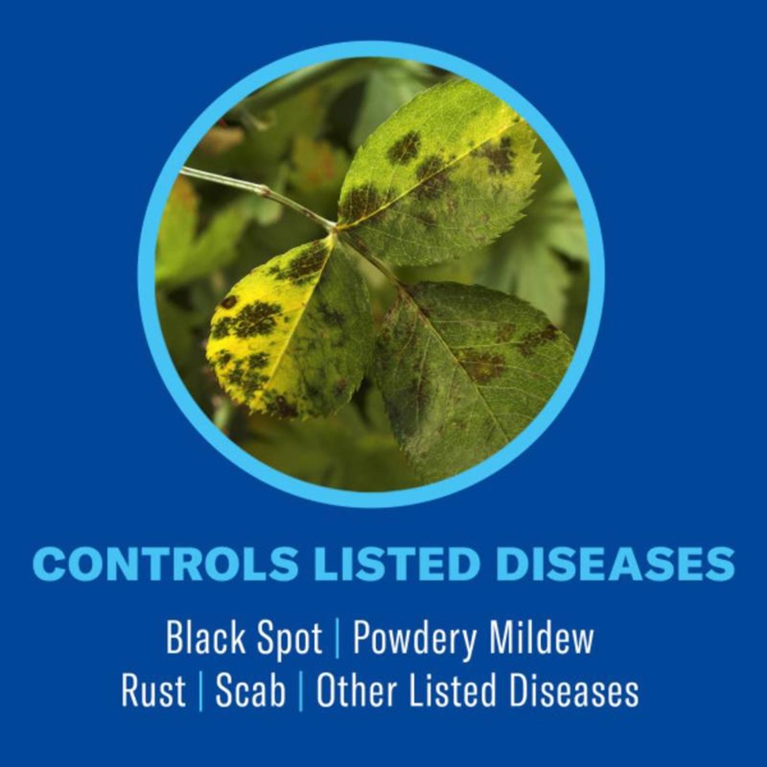 BioAdvanced Insect Disease & Mite Control - Thumbnail 3