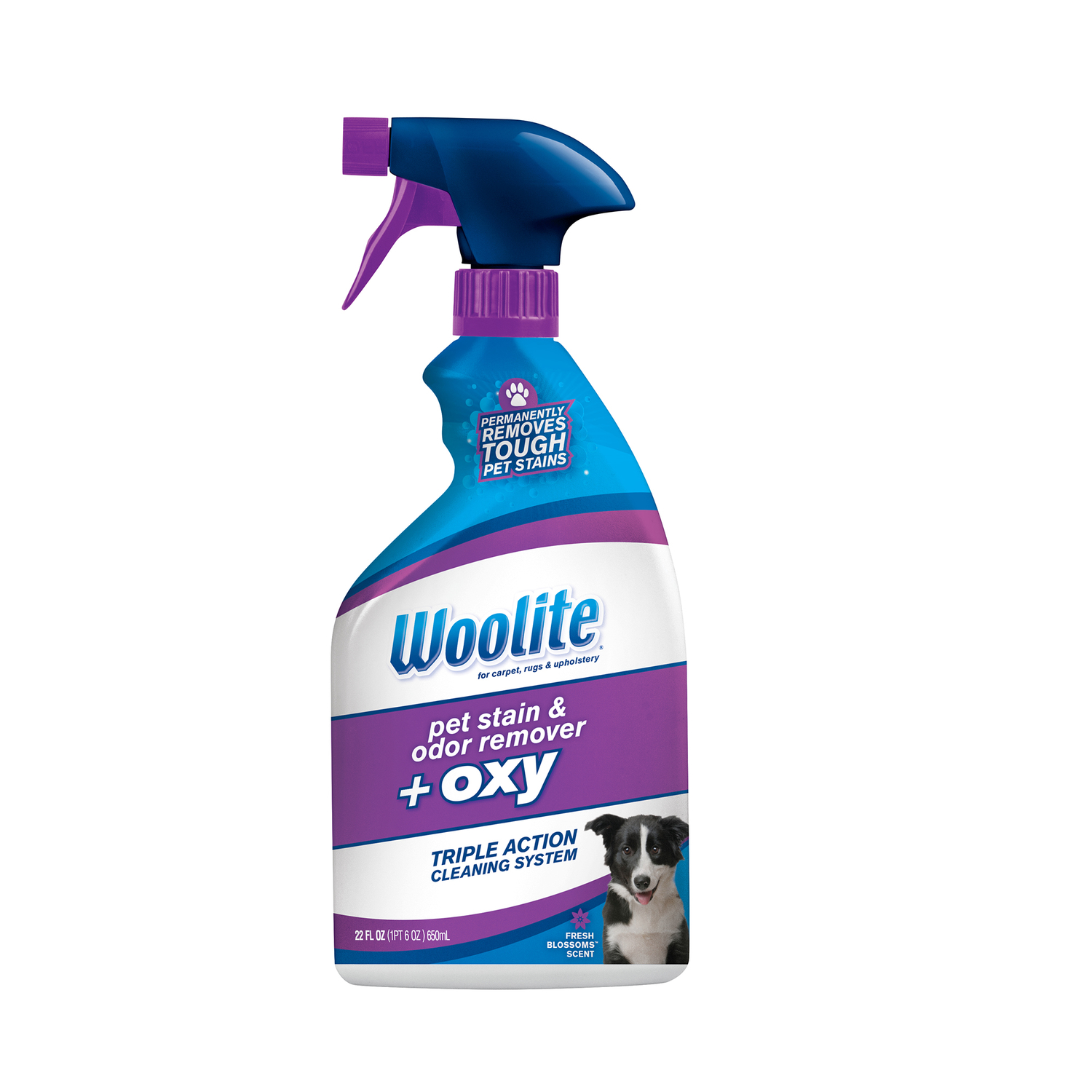 Woolite Carpet Pet Stain & Odor + Oxy Spray, Size 22 fl oz | 0890