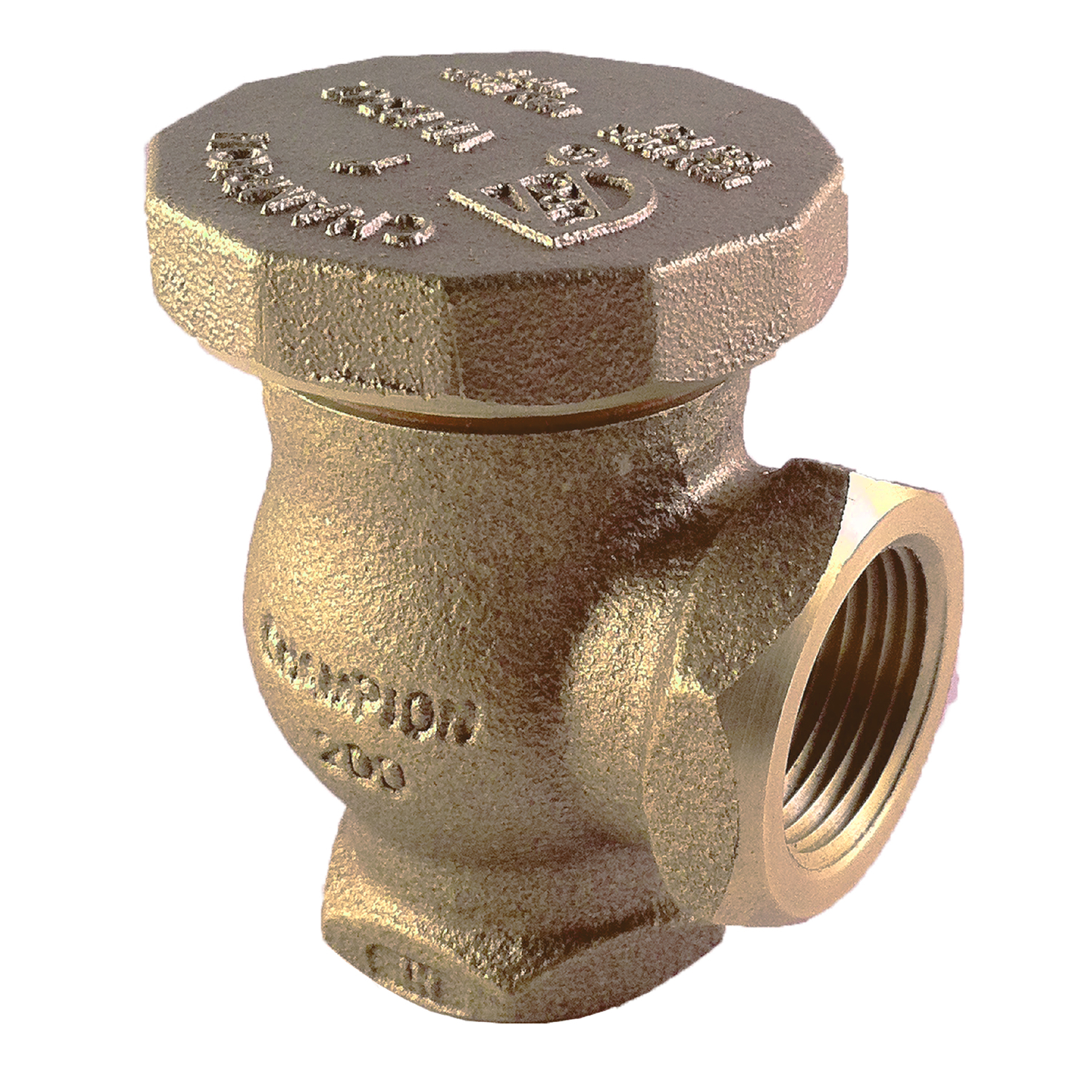 Champion 262 Anti-Siphon Valve 1 in. 150 psi Mfr# 262-100Y - Ace