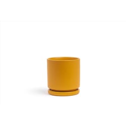 Momma Pots Gemstone Cylinder 6.5 in. W Porcelain Planter Mustard