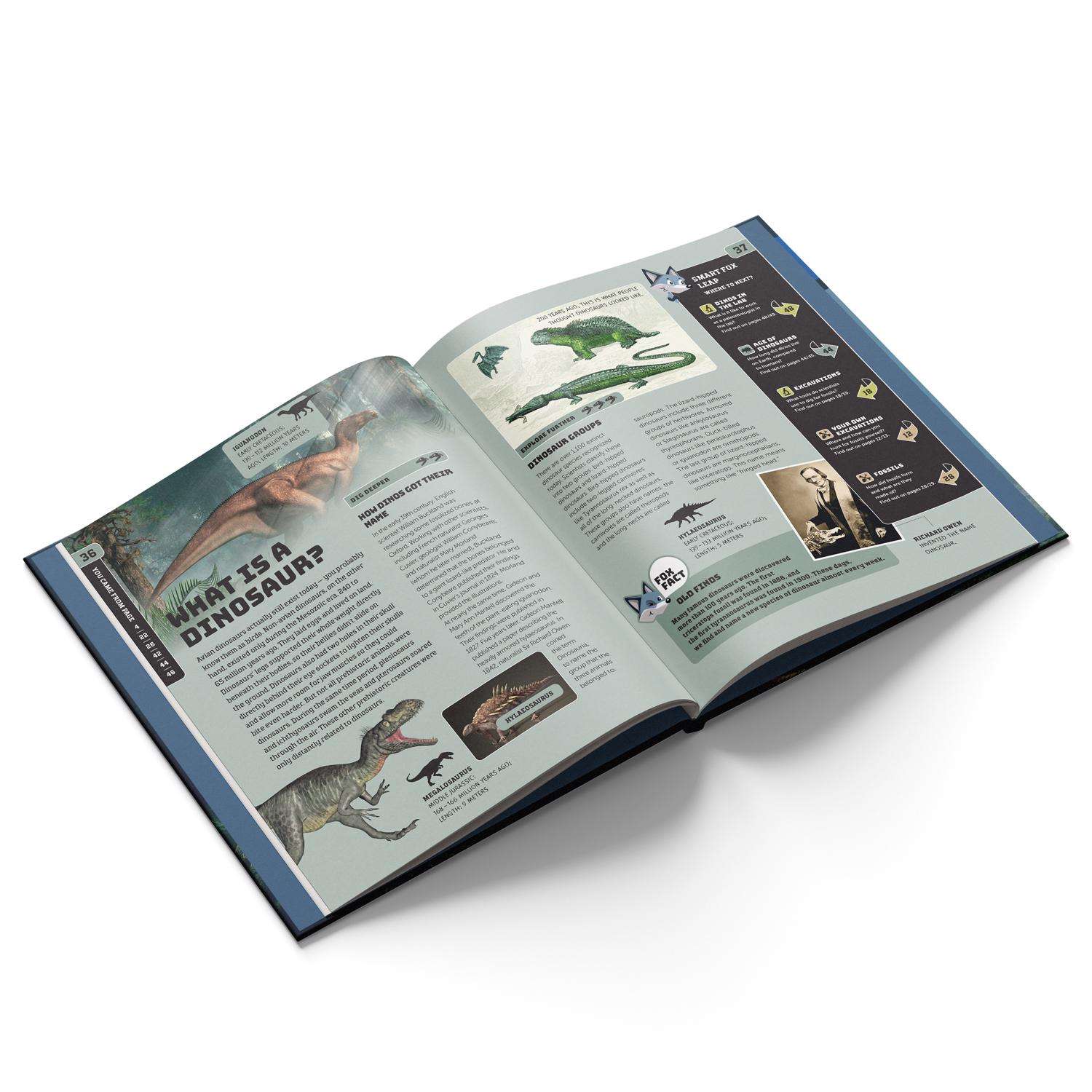 image-2