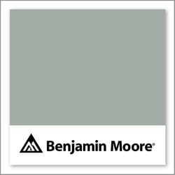 Benjamin Moore Raindance 1572