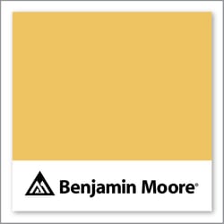 Benjamin Moore Firefly 299