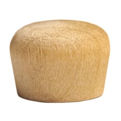 Century Drill & Tool Round Birch Head Plug 5/16 in. D X 5/16 in. L 24 pk Brown