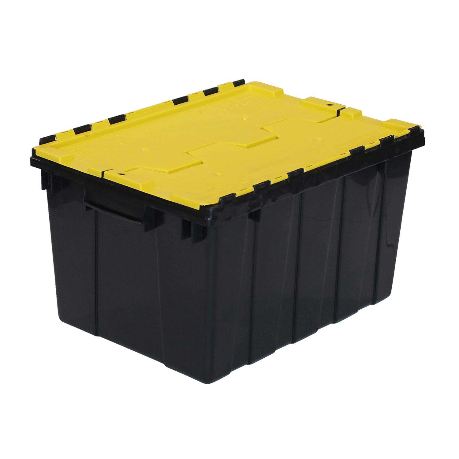 image-3