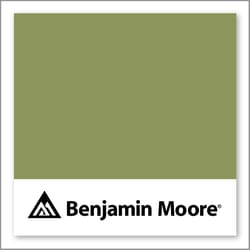 Benjamin Moore Sycamore Tree 539