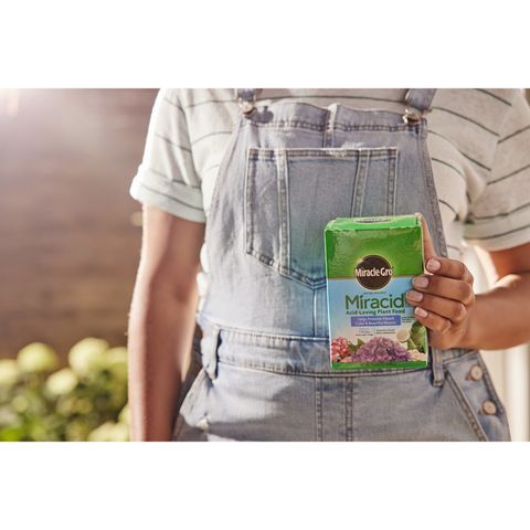Miracle-Gro Miracid Powder Plant Food 1 lb Mfr# 3750011 - Ace Hardware
