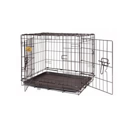 KennelMaster Small Steel Double Door Dog Crate Black 19 in. H X 24 in. W X 17 in. D
