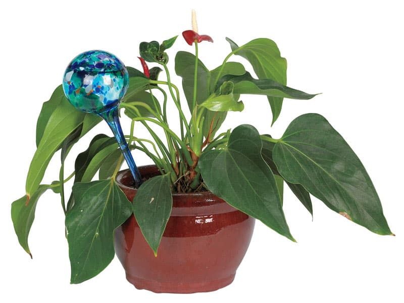 As Seen on TV Aqua Globe - Thumbnail 3