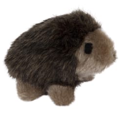 Aspen Pet For Dog Multicolored Plush Hedgehog Dog Toy Medium 1 pk