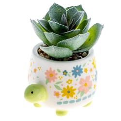 Karma 2 in. H X 2 in. L Multicolored Ceramic Succulent Pot