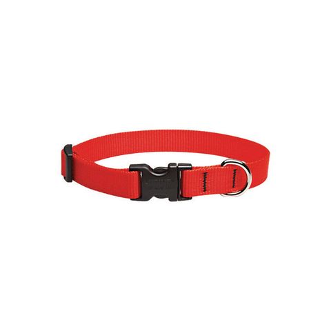 LupinePet Basic Solids Red Red Nylon Dog Adjustable Collar