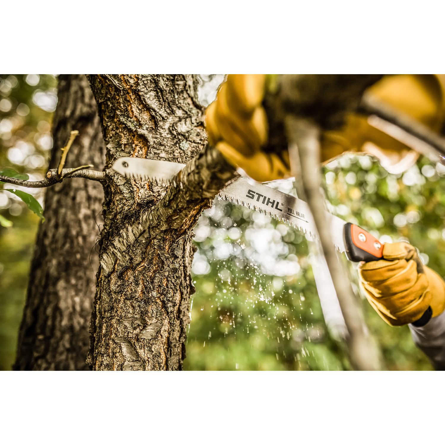 STIHL PS 70 Chemical Nickel Curved Pruning Saw - Thumbnail 3