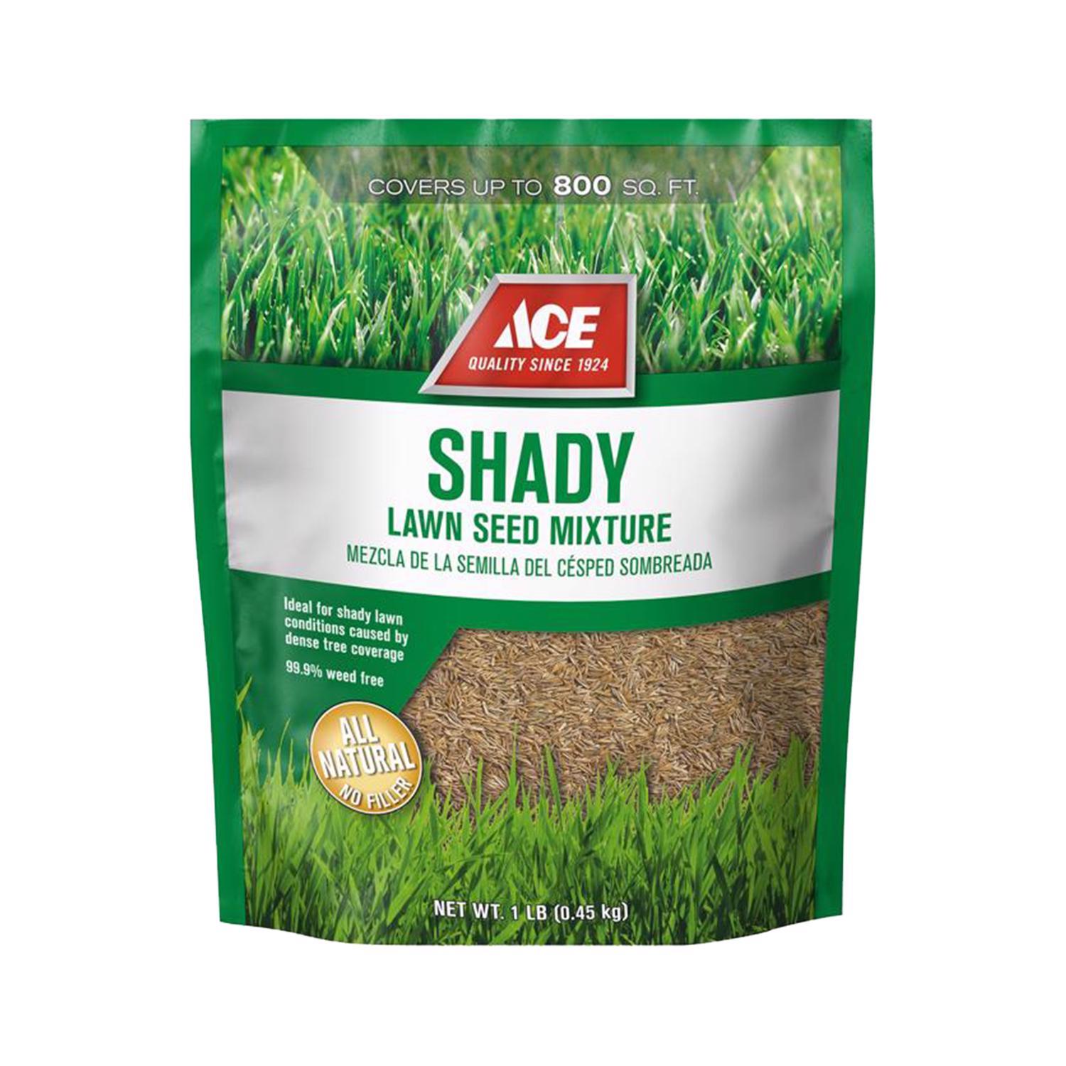 Ace Mixed Full Shade Grass Seed 1 lb Mfr# ACESHDY1TRAN - Ace Hardware