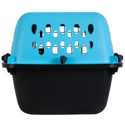 Aspen Pet Pet Porter Medium Plastic Pet Kennel Multicolored 10 in. H X 12.6 in. W X 19 in. D