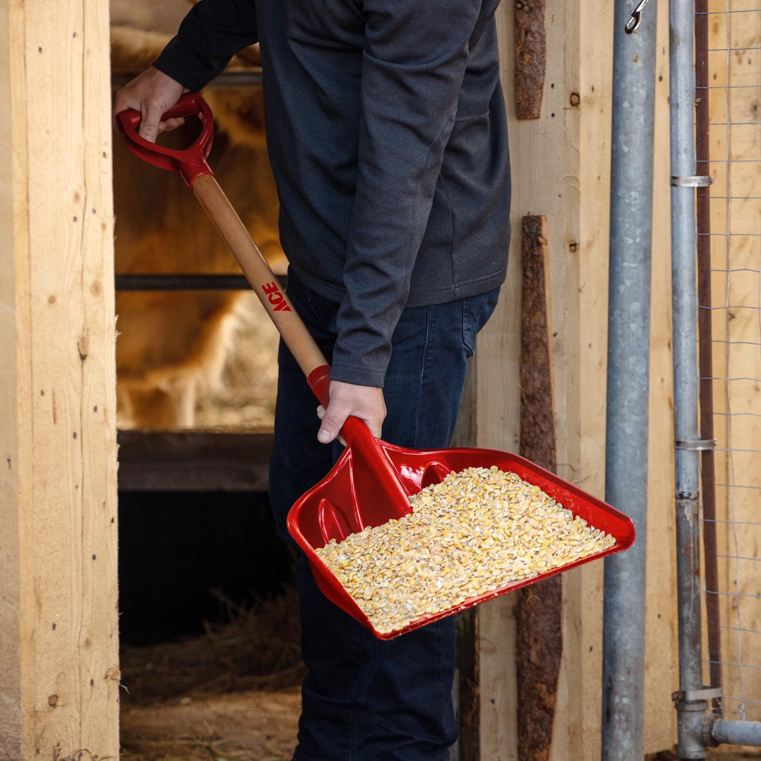 Ace Red Grain Scoop Mfr# SPG12DAC - Ace Hardware