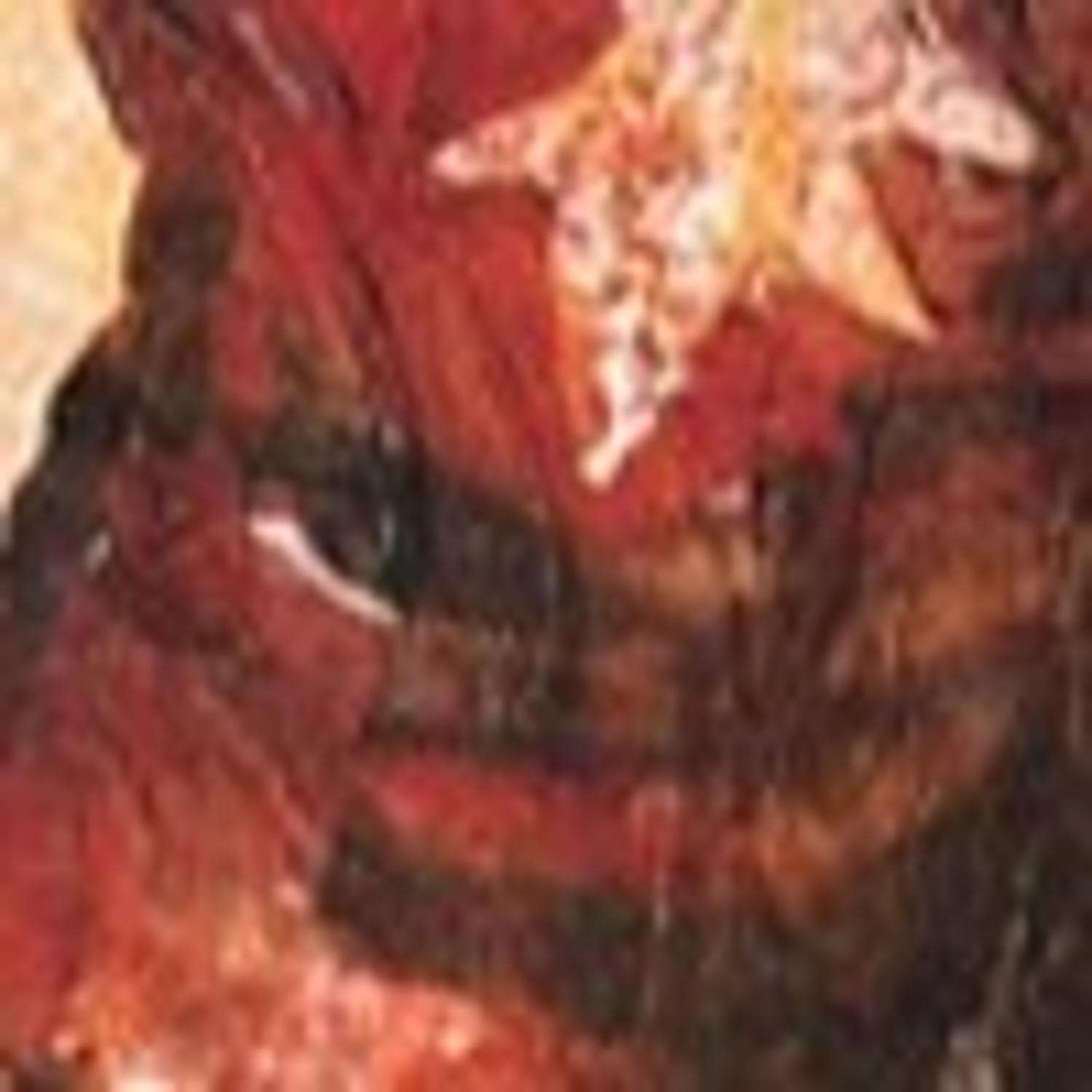 image-2