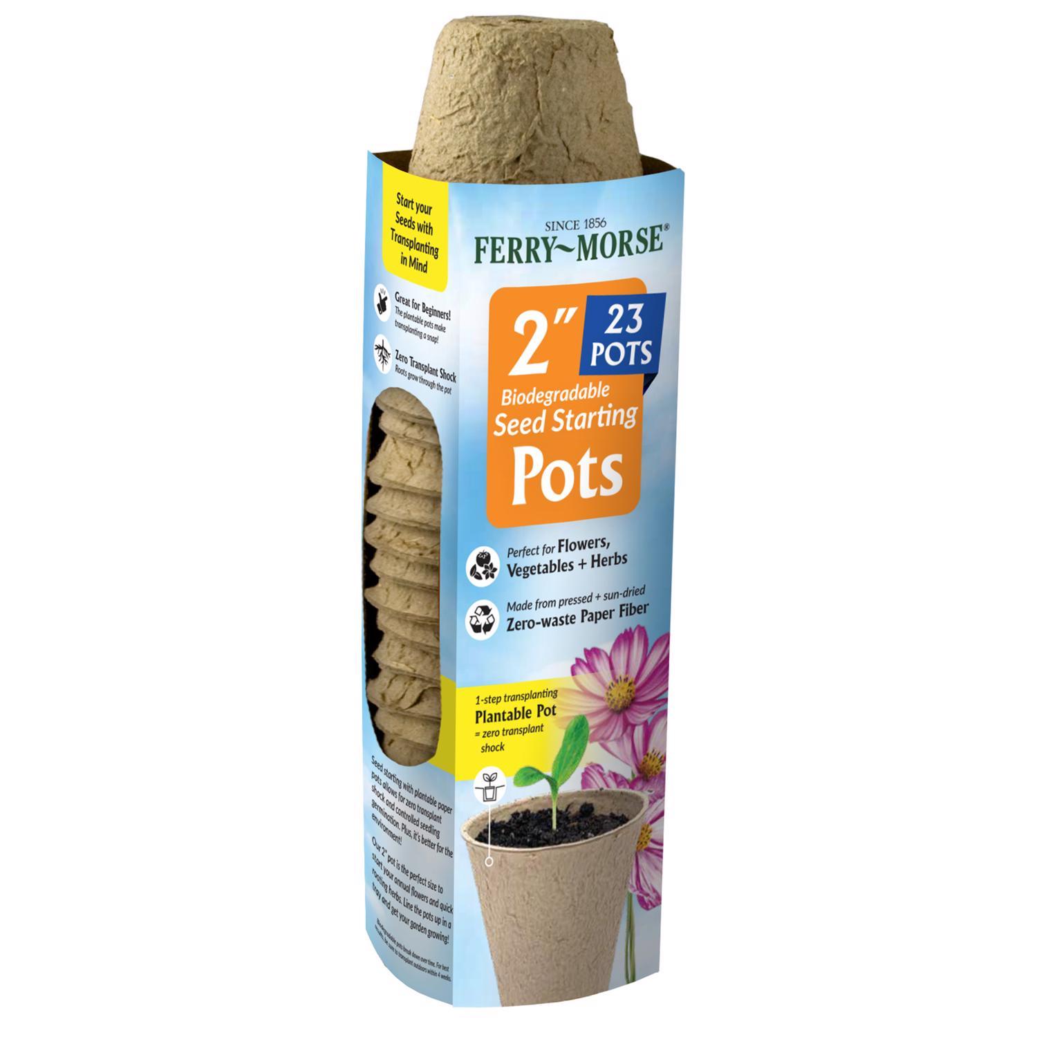 recipe for soilless potting mix Molly's Aroid Mix