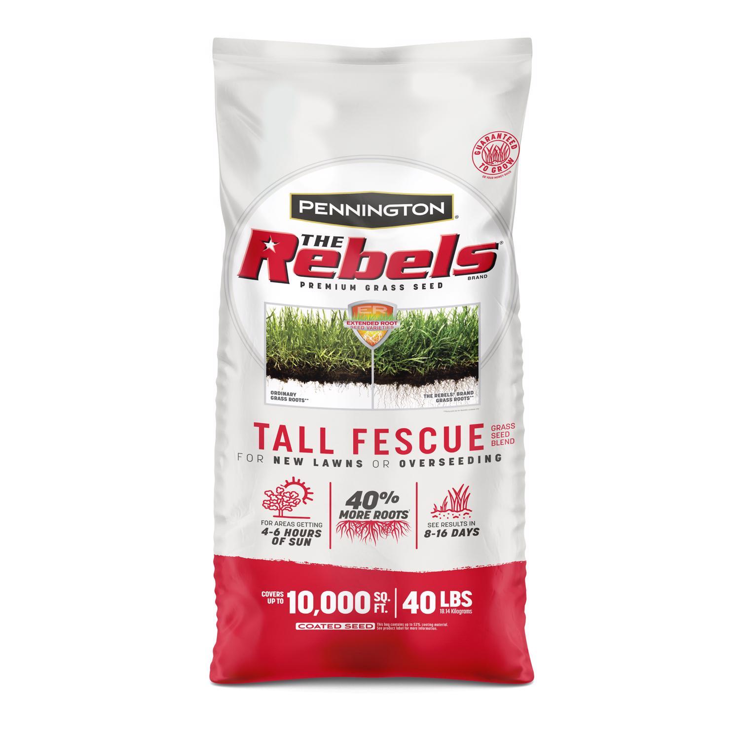 Pennington The Rebels Tall Fescue Grass Seed Mix 7 lb