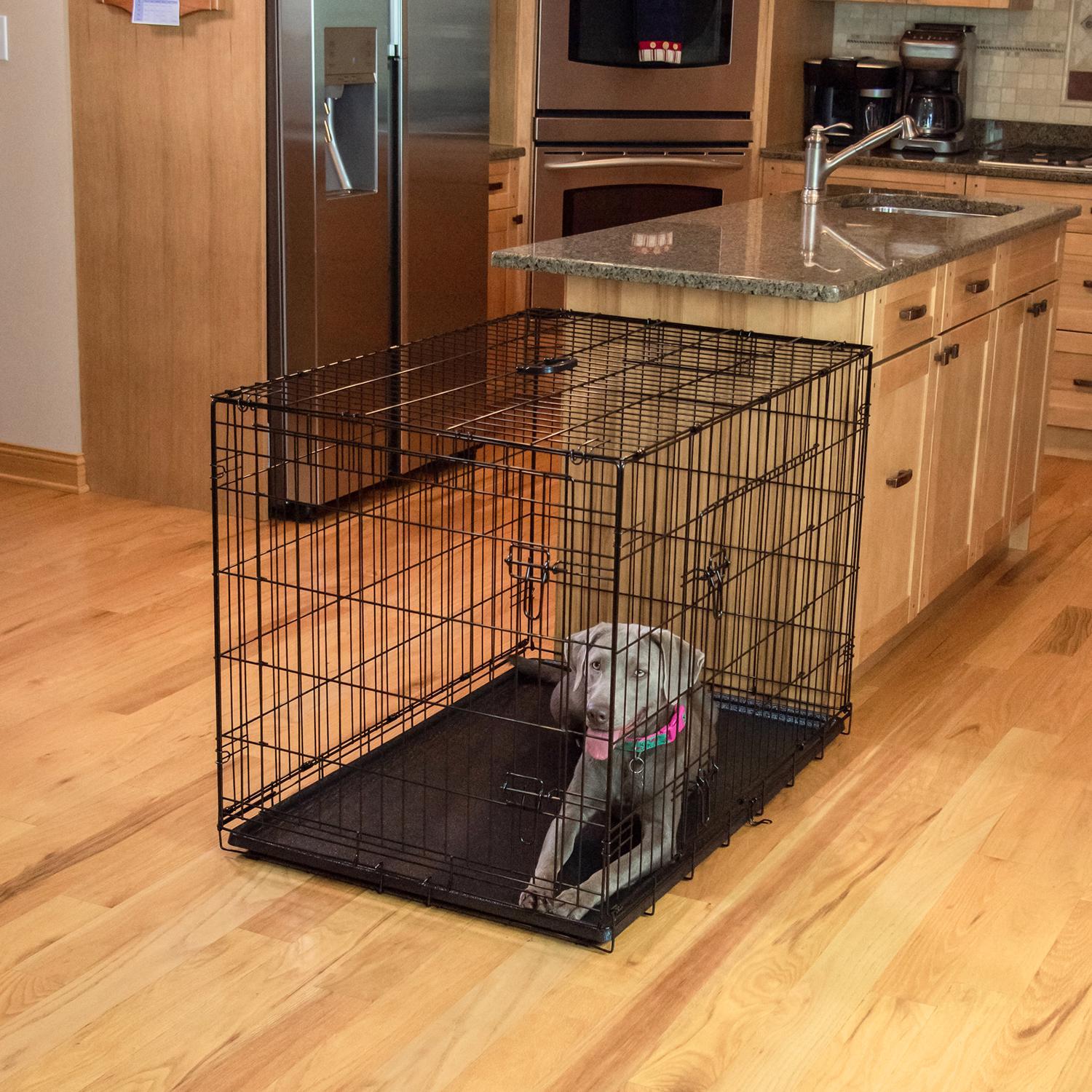 Pet Essentials Medium Steel Dog Crate Black 26 in. H X 24 in. W X