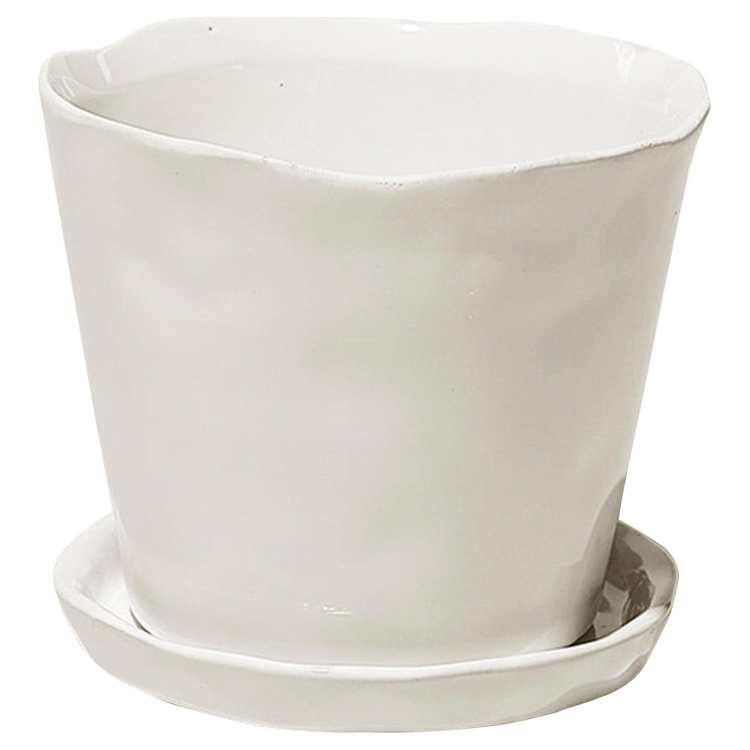 Chive Tika 5 in. D Ceramic Flower Pot White Mfr# BITPWH - Ace Hardware
