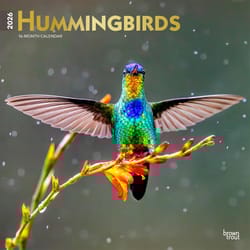 BrownTrout Publishers Hummingbirds 2026 Calendar