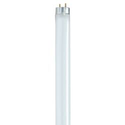 Satco 32 W T8 1 in. D X 47.78 in. L Fluorescent Bulb Warm White Linear 3000 K 1 pk