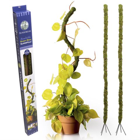 SuperMoss Bendy 36 in. H Green Moss Plant Support Mfr# 22063 - Ace