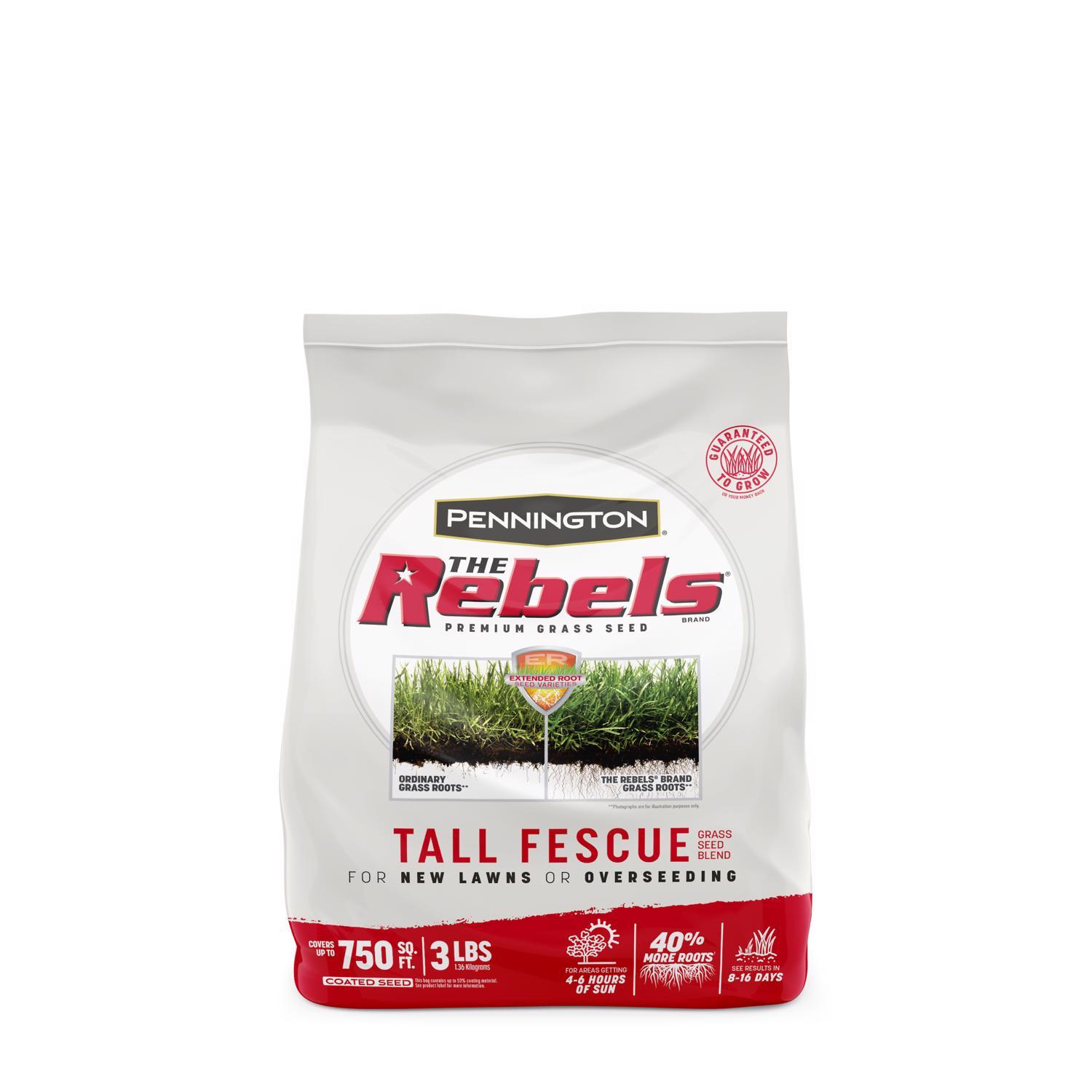 Pennington The Rebels Tall Fescue Grass Seed