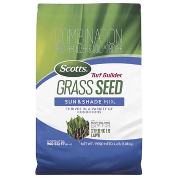 Grass Seeds