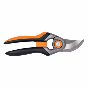 Pruning Shears
