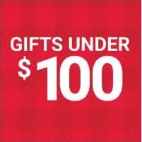 Gifts Under $100