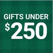 Gifts Under $250