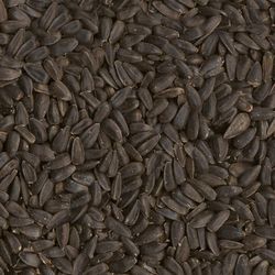 Ace Black Oil Sunflower Seed Wild Bird Food 20 lb