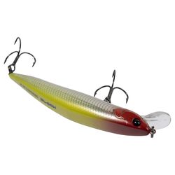 Lunkerhunt Fishing Lure