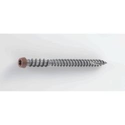 FastenMaster TrapEase No. 8 each X 2-1/2 in. L Brown Torx Ttap Button Head Composite Deck Screws 5 l