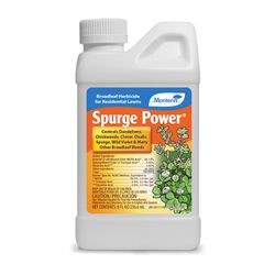 Monterey Spurge Power Broadleaf Herbicide Concentrate 8 oz