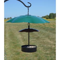 Songbird Essentials 6.5 in. H X 16 in. W X 16 in. D Squirrel Baffle Birdfeeder Pole