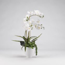 DW Silks 29 in. H X 12 in. L Polyester White Orchids in White Ceramic Bowl