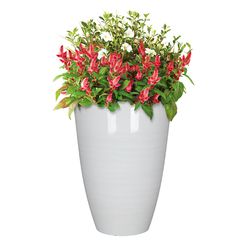 L&G Solutions 22 in. H X 16 in. D Polyresin Baja Planter White