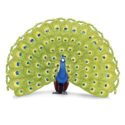 Safari Ltd. Wings of the World Birds Peacock Toy Multicolored